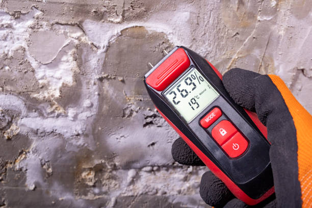 Best Fast Mold Removal  in Louisa, VA