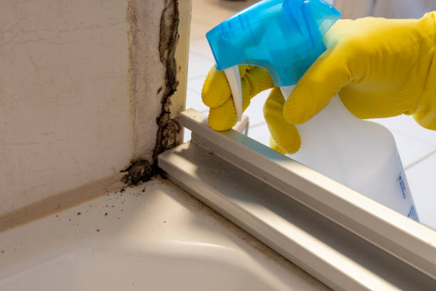 Best Mold Testing  in Louisa, VA