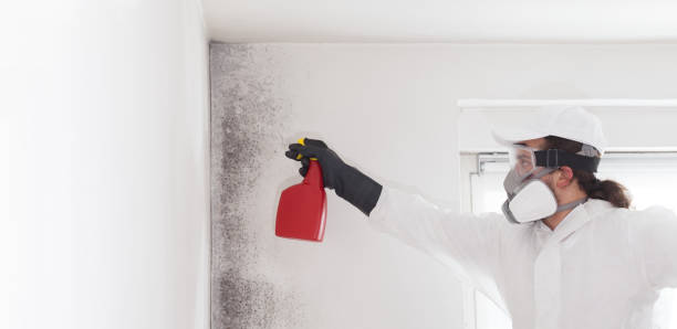 Best Mold Testing  in Louisa, VA